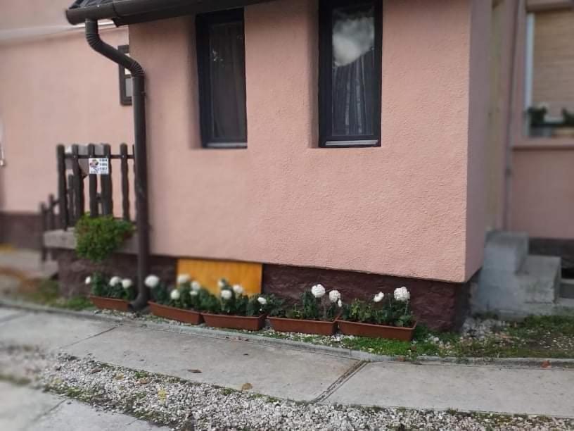 Penzion Pihenes A Malomtonal Privat Berlemeny Tapolca Exteriér fotografie